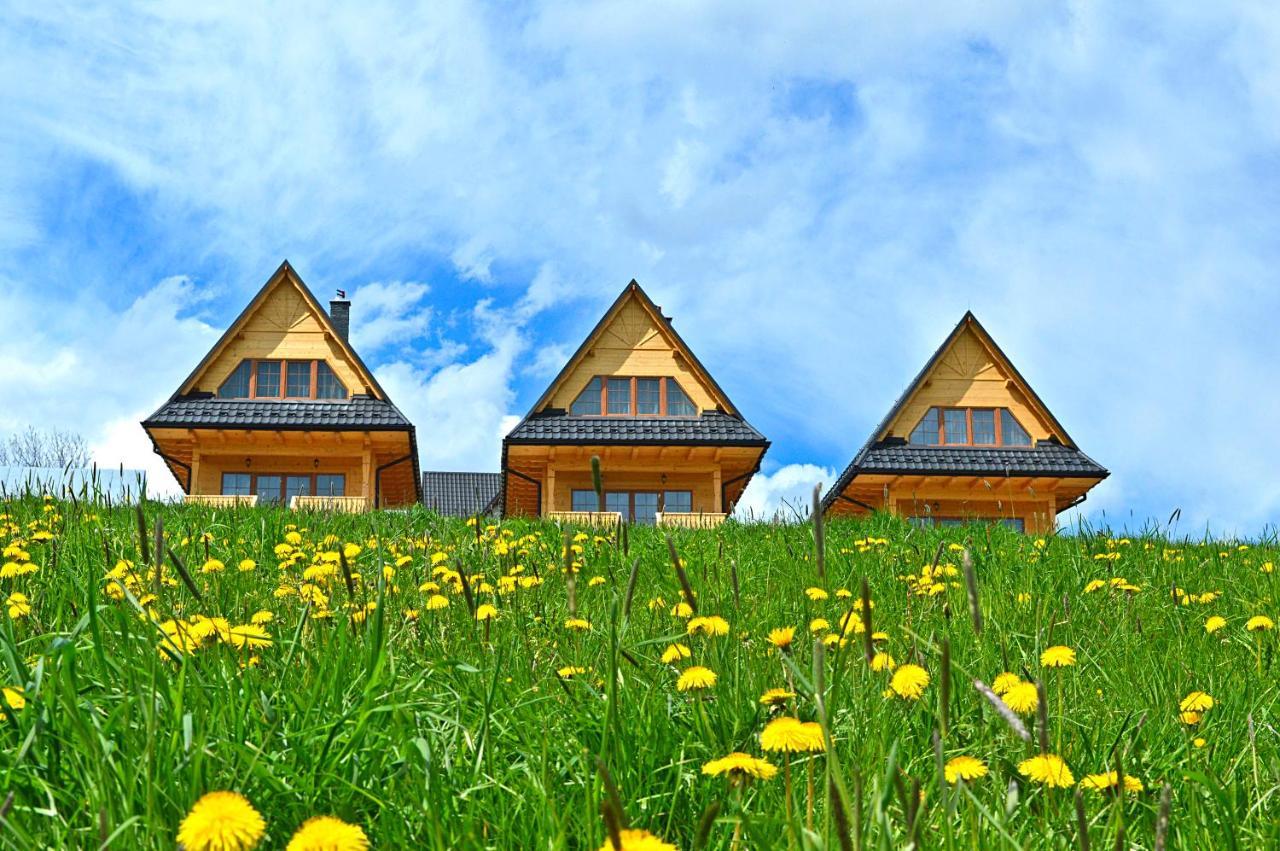 Tatrzanskie Kacina Chalet *