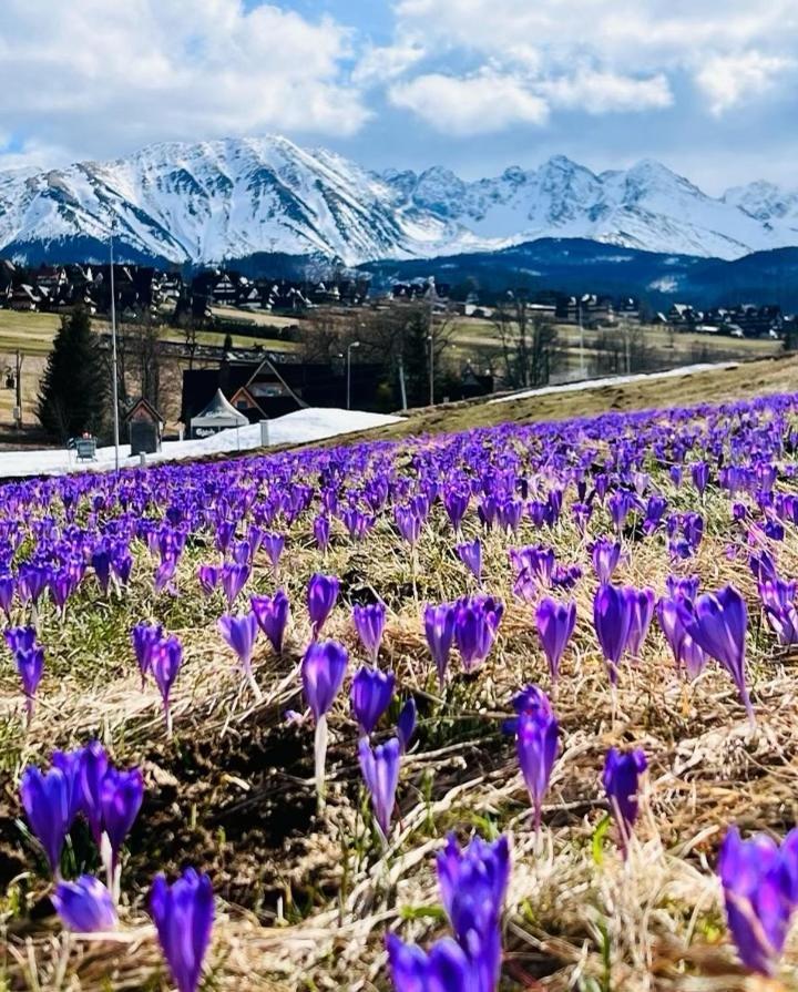 Tatrzanskie Kacina Chalet *