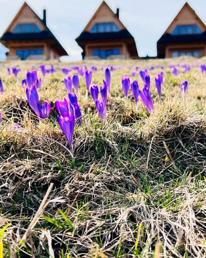 Tatrzanskie Kacina Chalet Murzasichle
